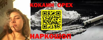 Альфа ПВП Лесосибирск