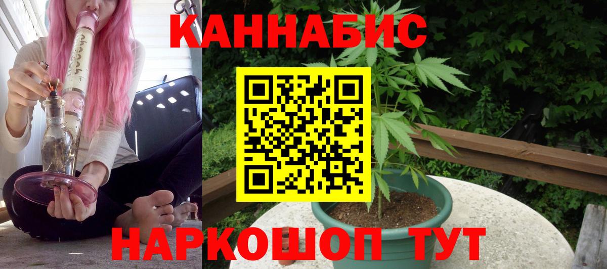Каннабис OG Kush Изобильный